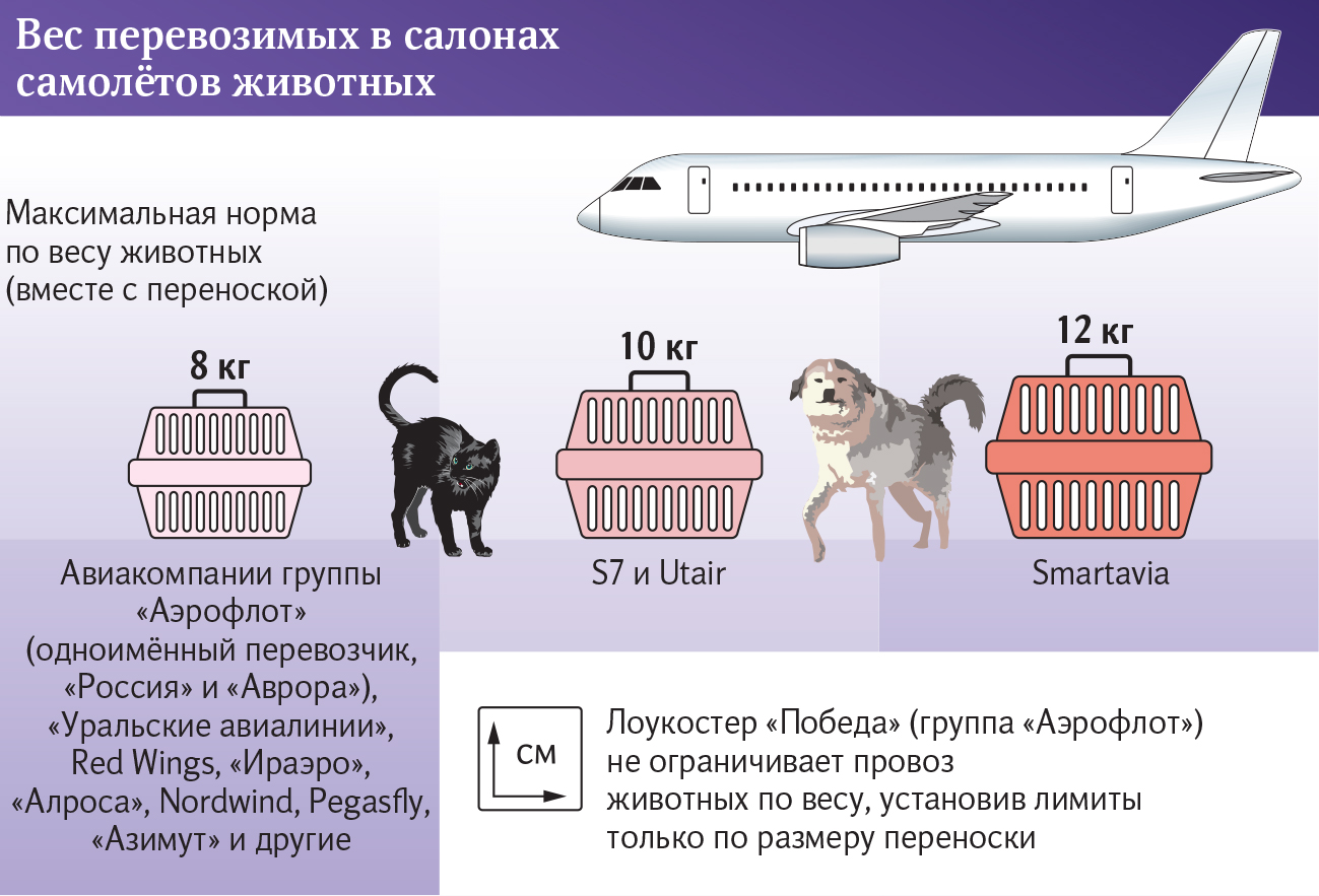 Вес собаки для перевозки в салоне самолета